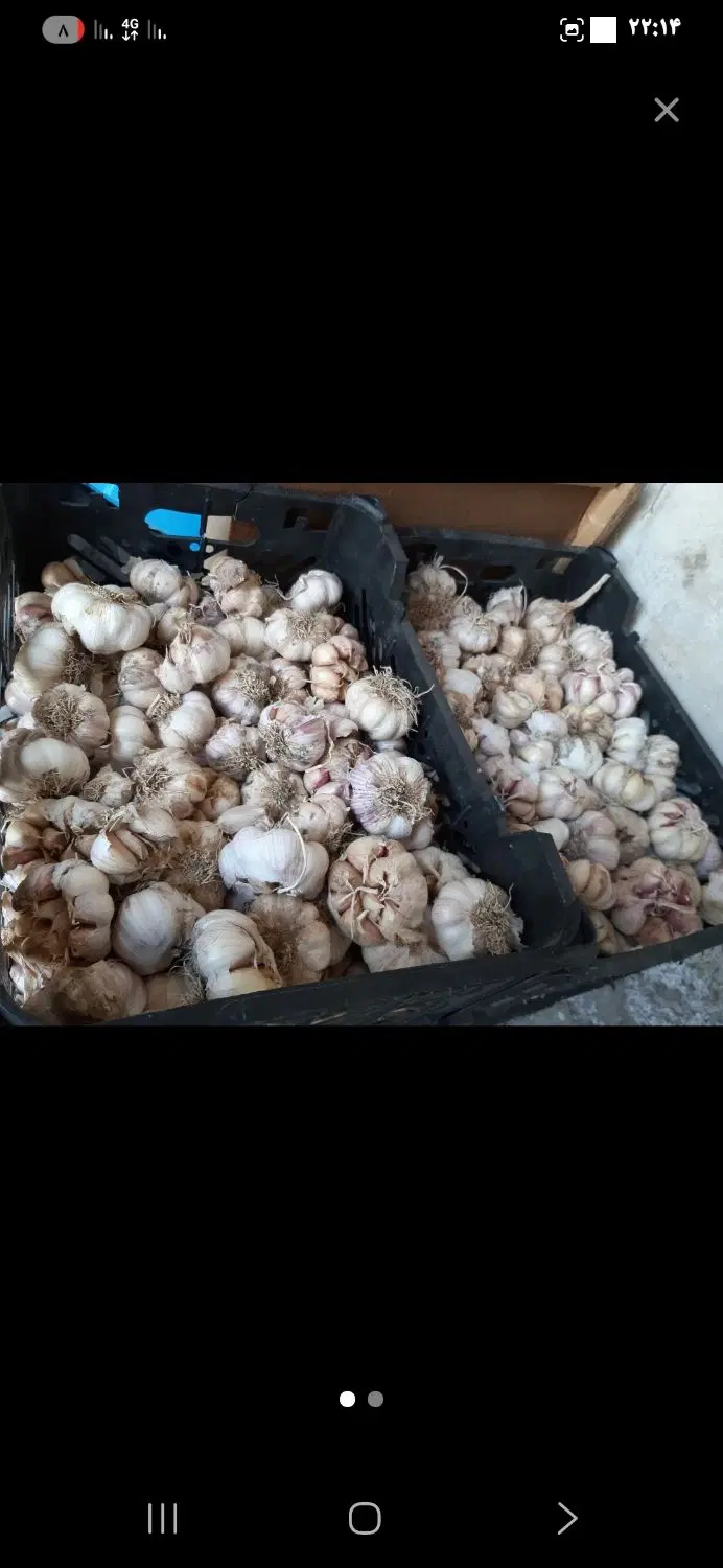 سیر|خوردنی و آشامیدنی|سبزوار, مدرس|دیوار