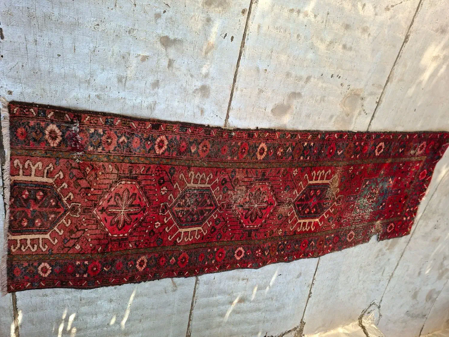 کناره دست بافت کارکرده.|فرش|تبریز, |دیوار