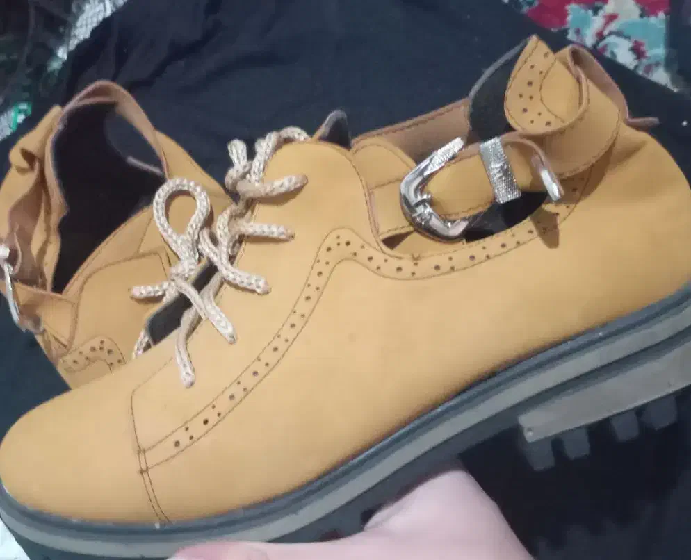 کفش|کیف، کفش، کمربند|بیرجند, |دیوار