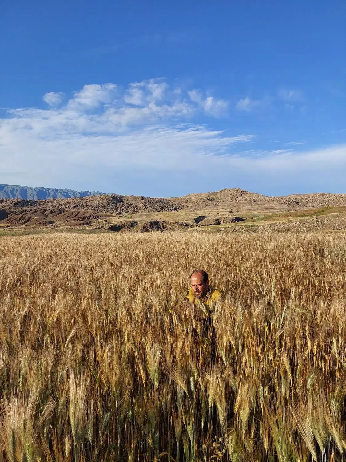 زمین کشاورزی|فروش دفتر صنعتی، کشاورزی، تجاری|دره شهر, |دیوار