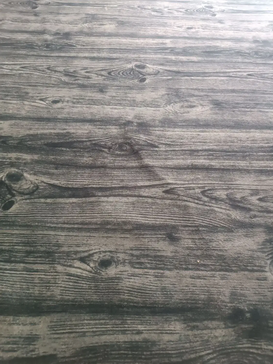 موکت دست دوم تمیز|موکت|شاهین‌شهر, گرگاب|دیوار