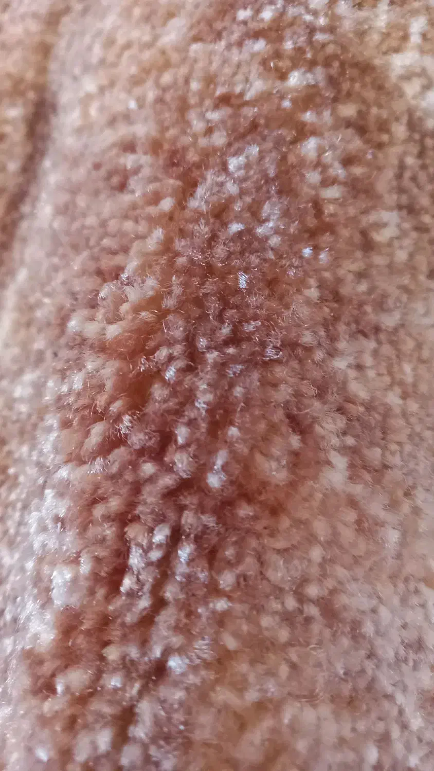 پالازموکت ۱۲متری پرزبلند|موکت|ورامین, ورامین|دیوار