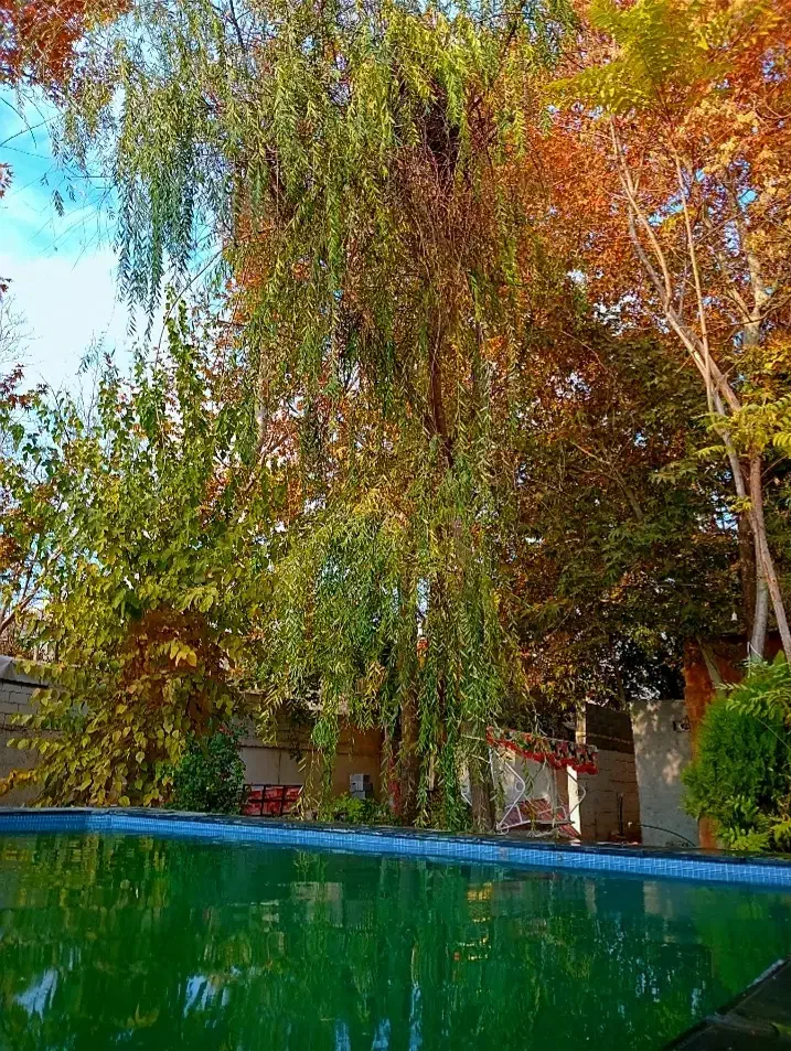 باغ مبله فول / استخر / اتشکده / داخل شهر|اجارهٔ کوتاهمدت ویلا و باغ|شیراز, دینکان|دیوار