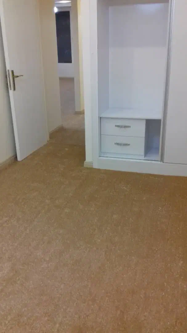 نصب موکت و برچسب|خدمات پیشه و مهارت|بندرعباس, |دیوار