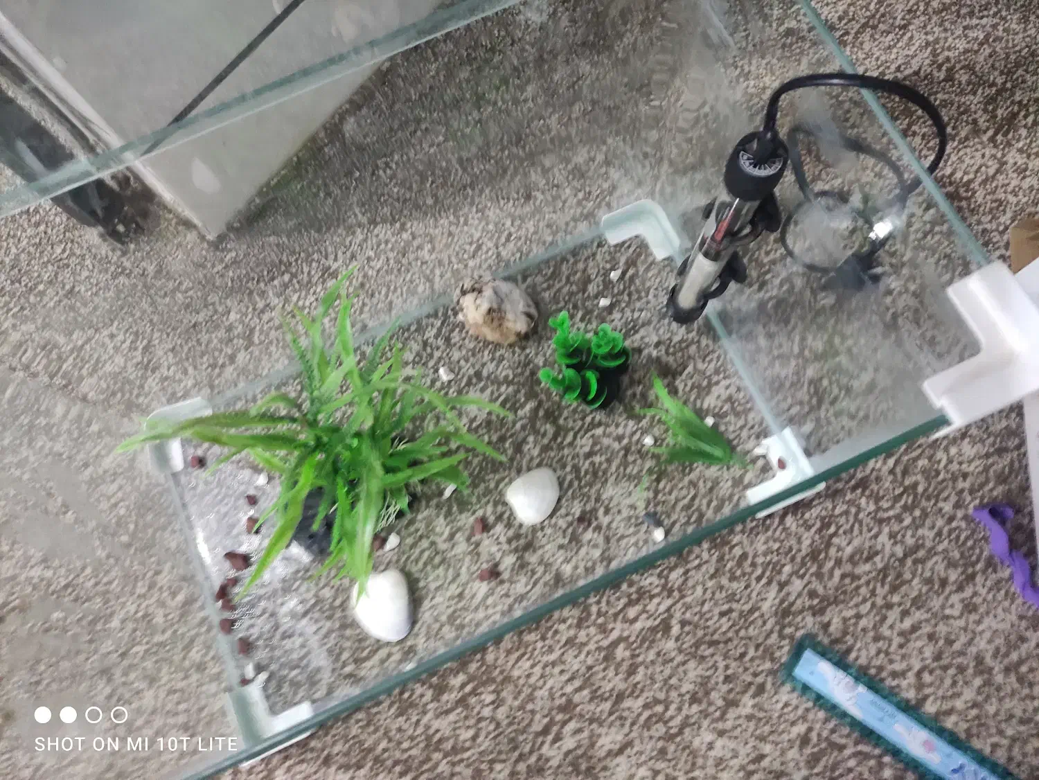 آکواریوم و بخاری ماهی|ماهی|دزفول, |دیوار