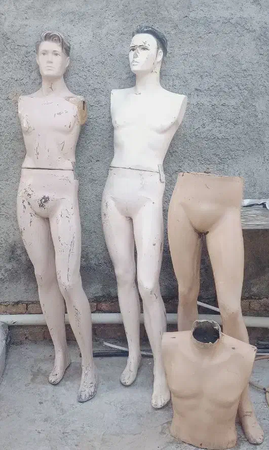 مانکن|فروشگاه و مغازه|بندر ترکمن, |دیوار