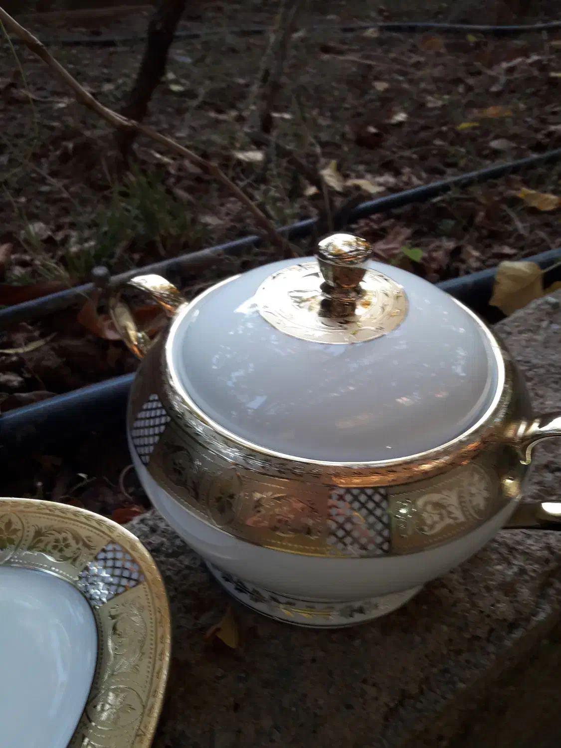 ظروف چینی 6نفره|ظروف سرو و پذیرایی|هشتگرد, هیو|دیوار