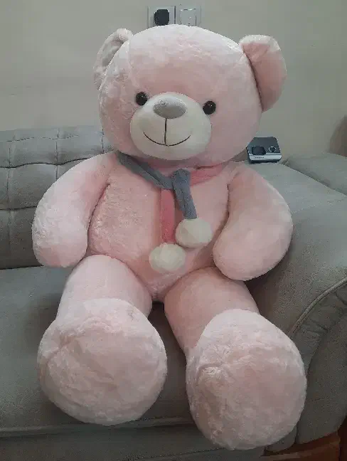 عروسک خرس بزرگ|اسباب‌‌بازی|ری, شهادت|دیوار