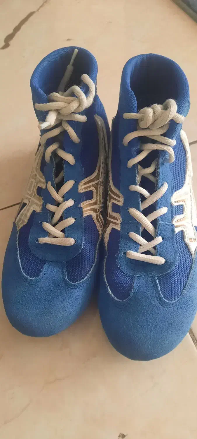 کفش کشتی|کیف، کفش، کمربند|شیراز, کاراندیش|دیوار