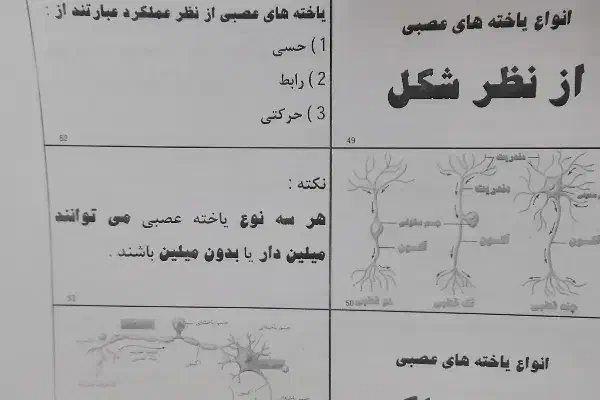 جزوه زیست یازدهم پاکنیت ،تقویتی کنکوری|کتاب و مجله آموزشی|نی‌ریز, |دیوار