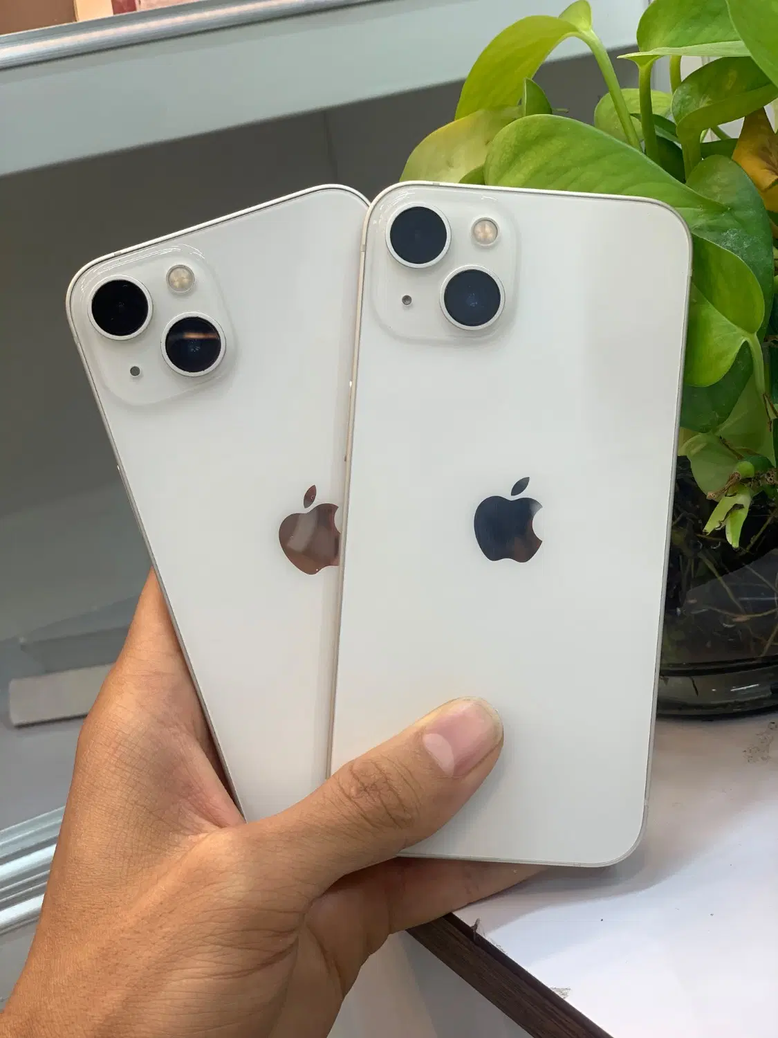 iphone 13 Normal|موبایل|شیراز, ملاصدرا|دیوار