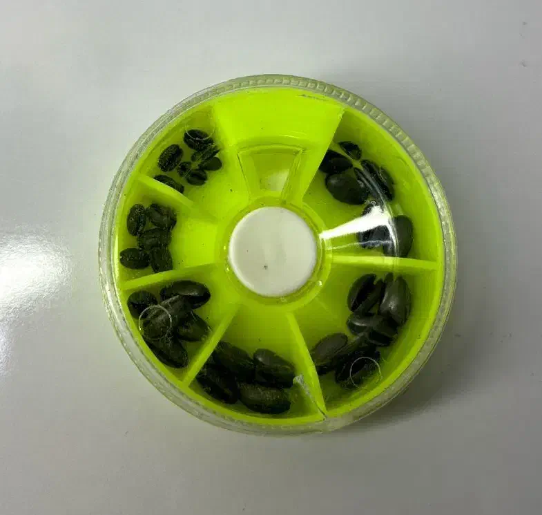 سرب چاکدار گندمی نرم وارداتی|ماهیگیری|تبریز, |دیوار