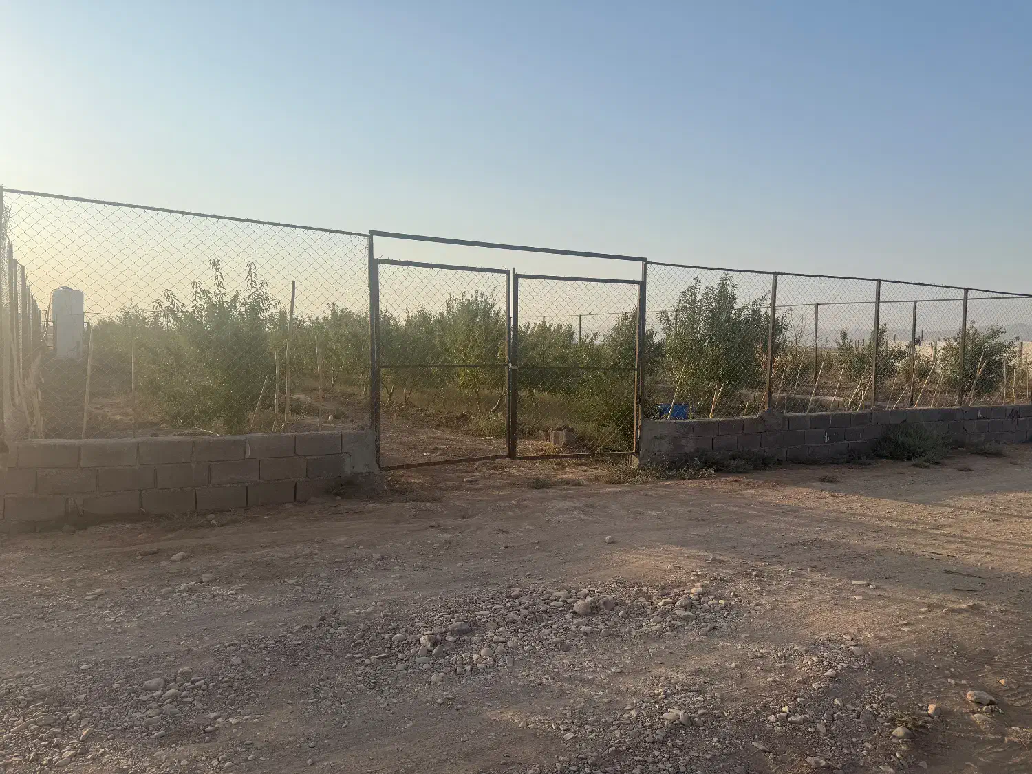 باغ بادام|فروش زمین و ملک کلنگی|زرندیه, |دیوار