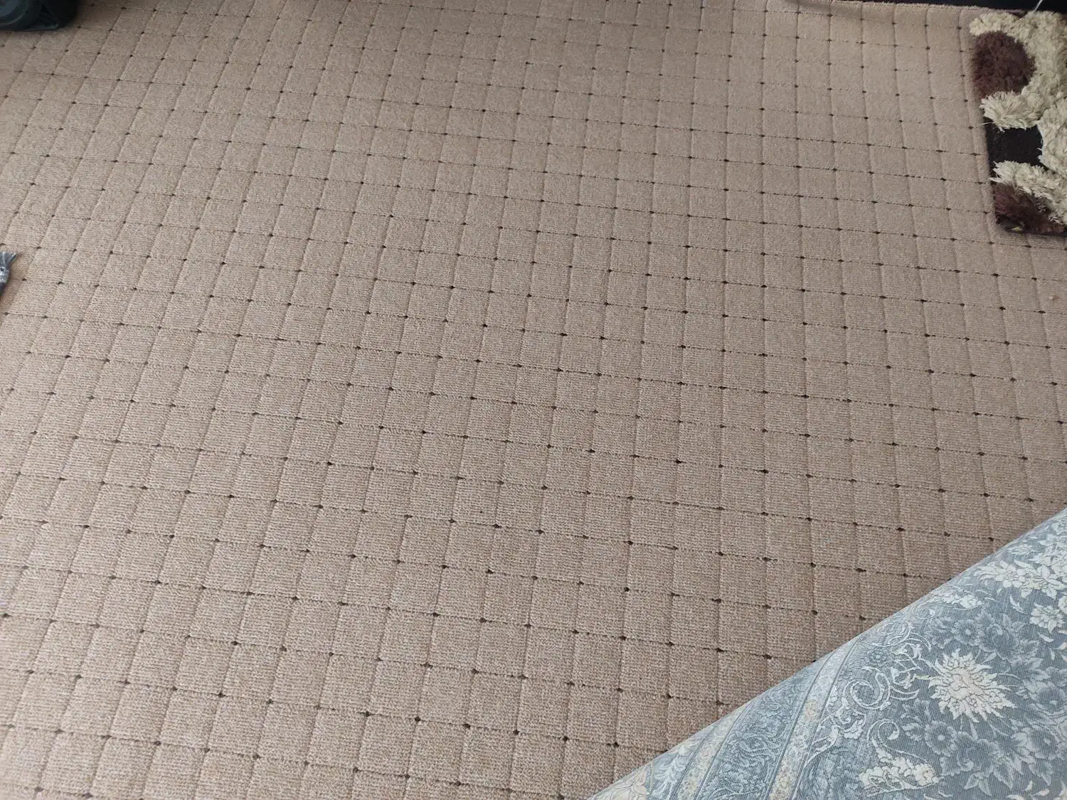 پالاز موکت|موکت|ایلام, |دیوار