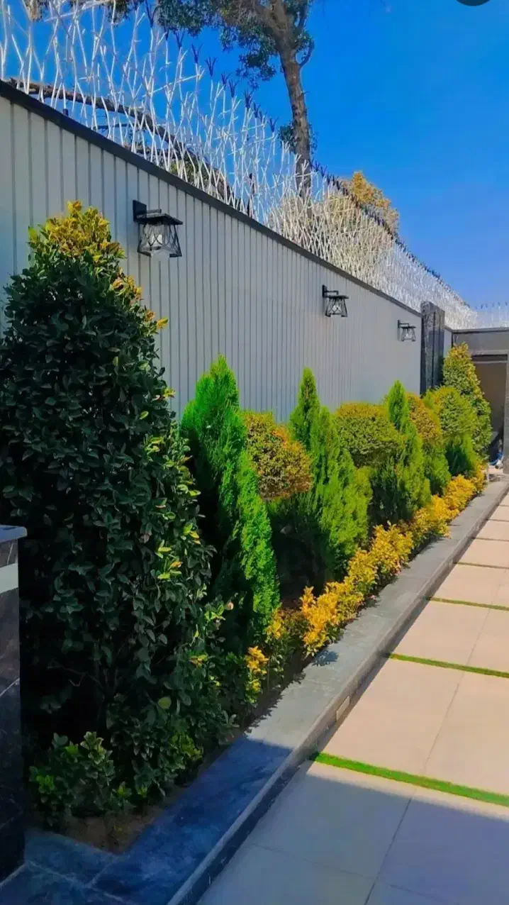 خدمات کلیه باغبانی باغچه کاری هرسکاری گلکاری کاشت|خدمات باغبانی و درختکاری|کرج, فاز ۴ مهرشهر|دیوار