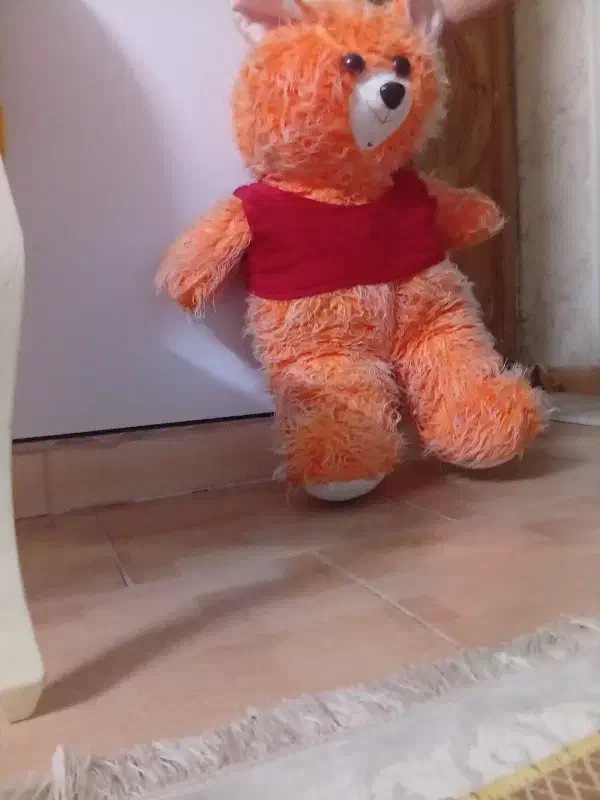 خرس|اسباب‌بازی بچه|شاهدشهر, |دیوار