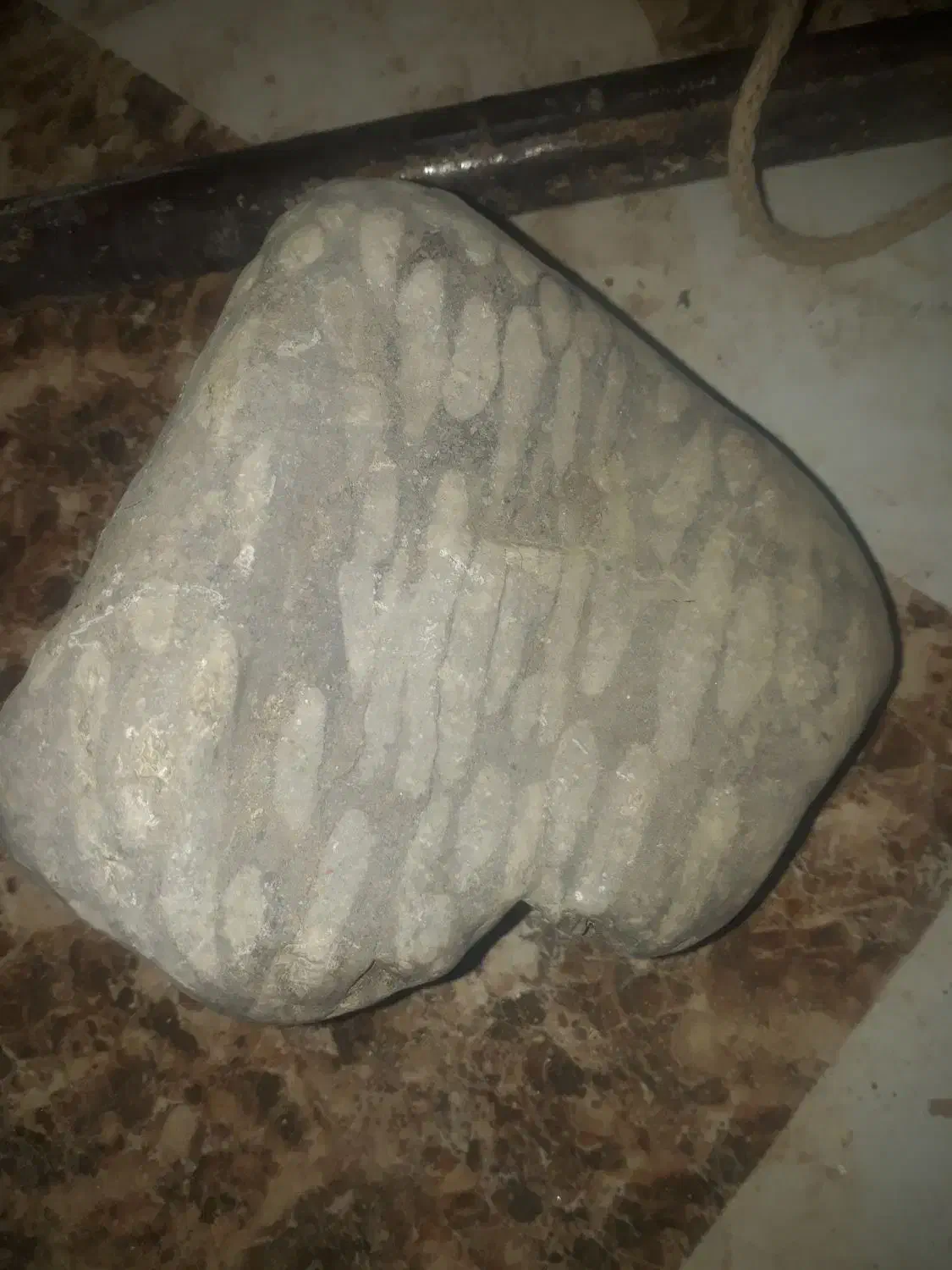 فسیل|کلکسیون اشیاء عتیقه|مرند, |دیوار