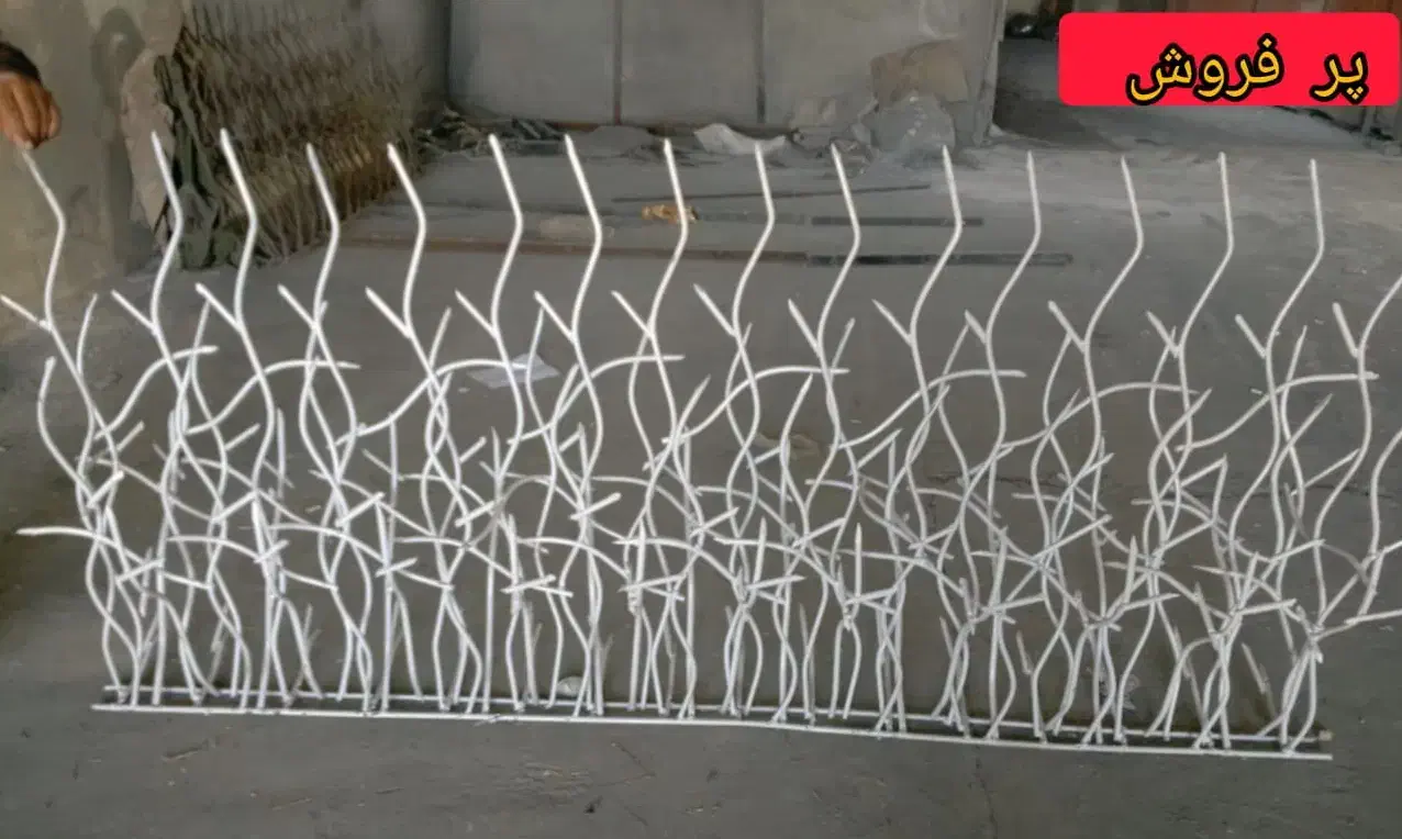 حفاظ شاخ گوزنی / با ارسال رایگان.نقدی و اقساطی|خدمات پیشه و مهارت|تهران, هفت حوض|دیوار