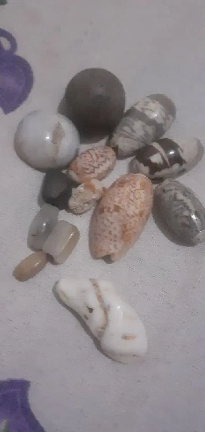 چند سدف  کلکسیونی یک سنگ آسیاب وچند مهره قدیمی|کلکسیون اشیاء عتیقه|دزفول, |دیوار