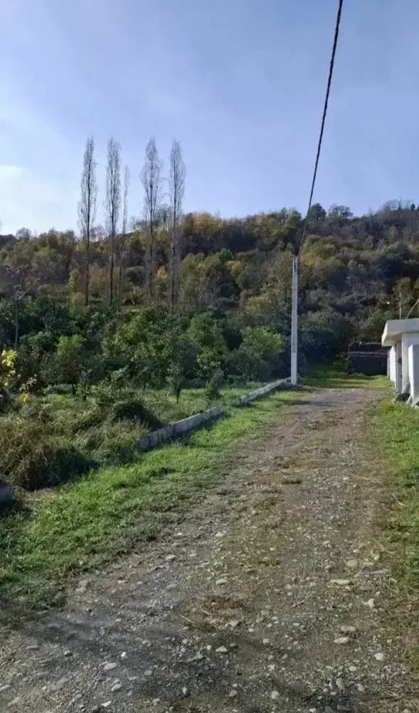 زمین اقساطی در منطقه خوش آب و هوا|فروش زمین و ملک کلنگی|چمستان, |دیوار