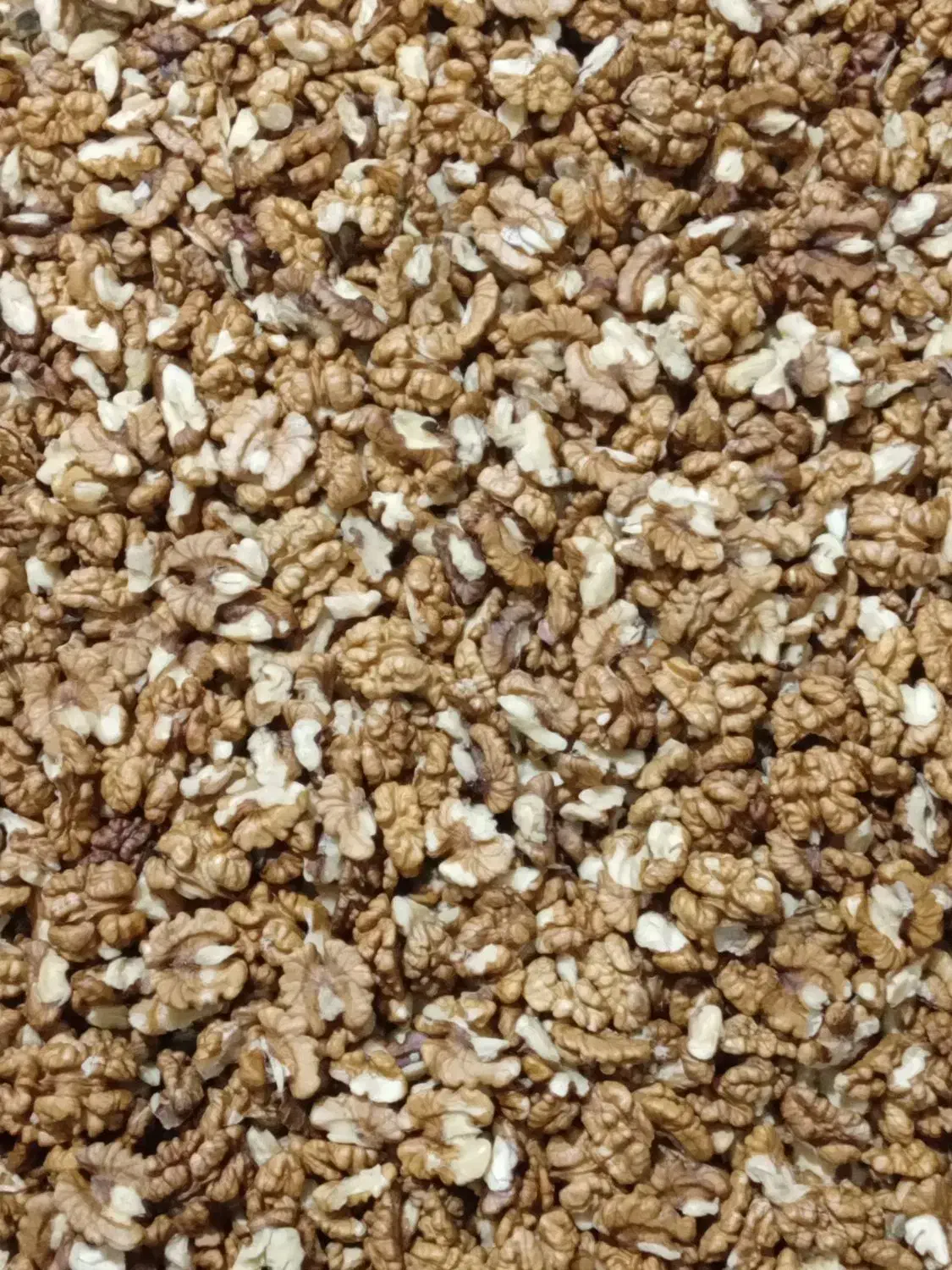 مغز گردو و زغال اخته خشک الموت|خوردنی و آشامیدنی|محمدیه-قزوین, |دیوار