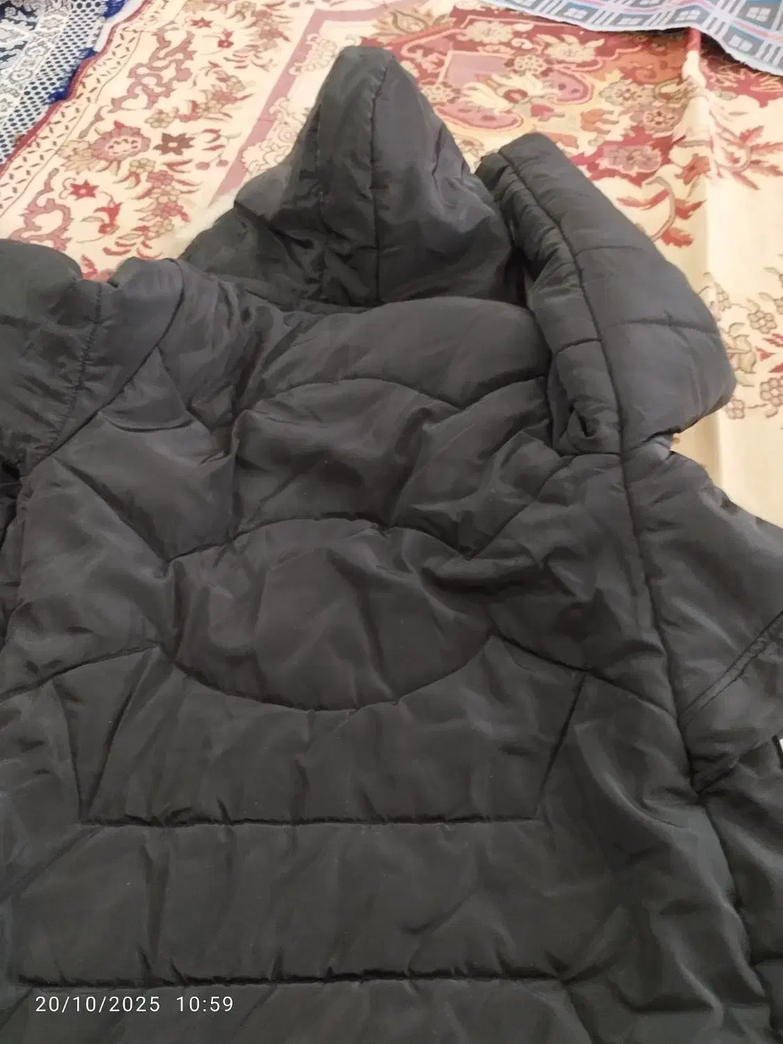 پالتودخترانه|لباس|زابل, |دیوار