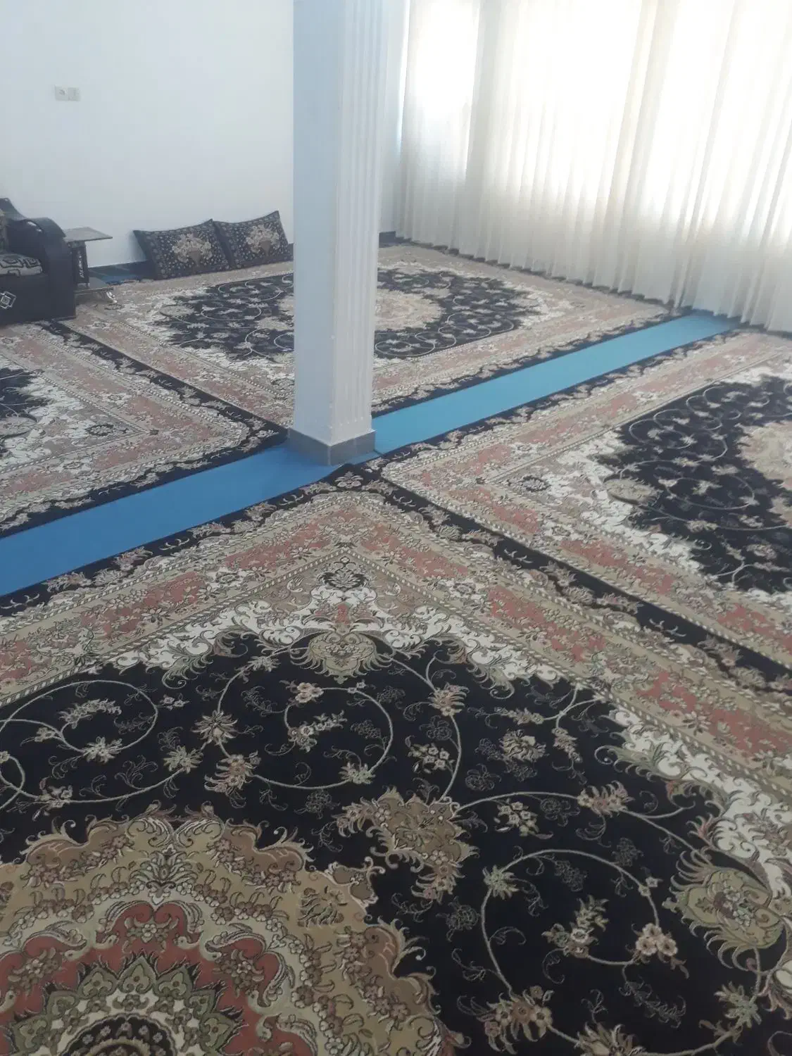 ۶عدد فرش نو|فرش|شازند, |دیوار