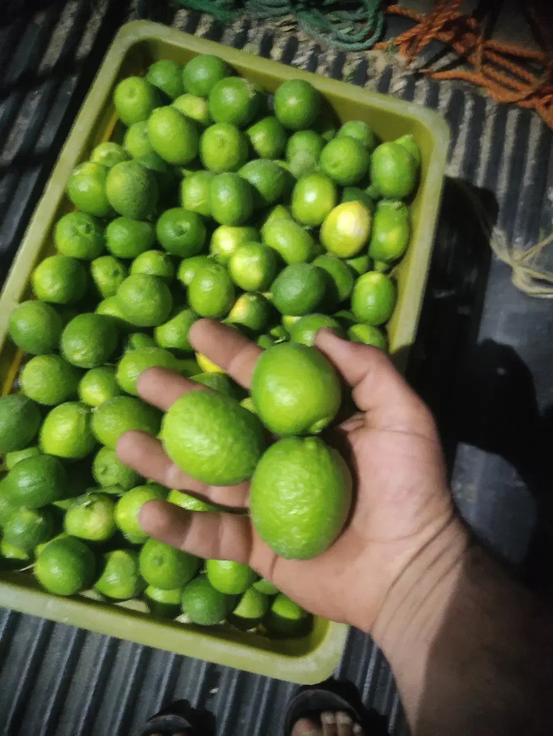 فروش باغ لیموترش|فروش زمین و ملک کلنگی|سیمکان, |دیوار