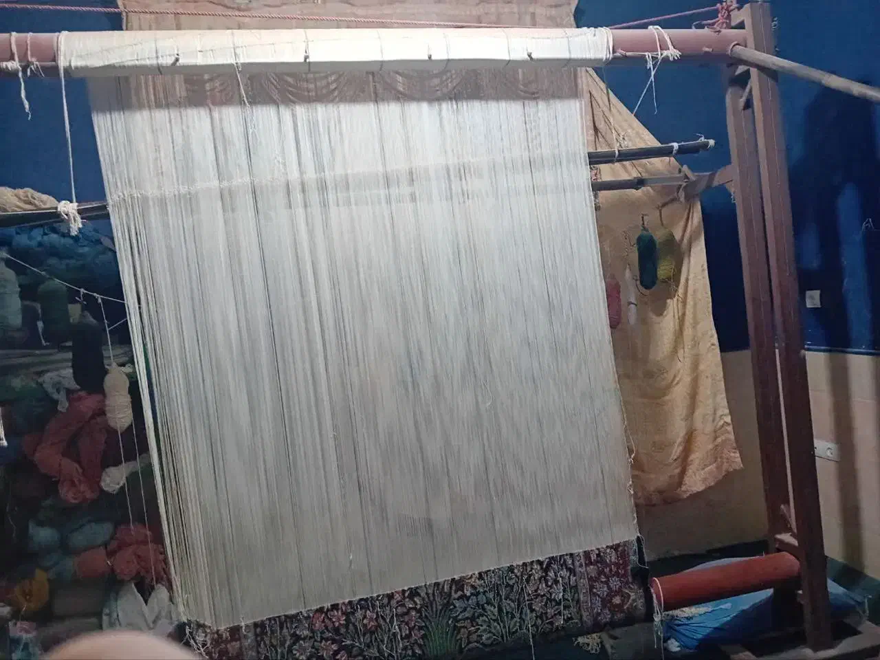 قالی دست بافت|فرش|رفسنجان, |دیوار