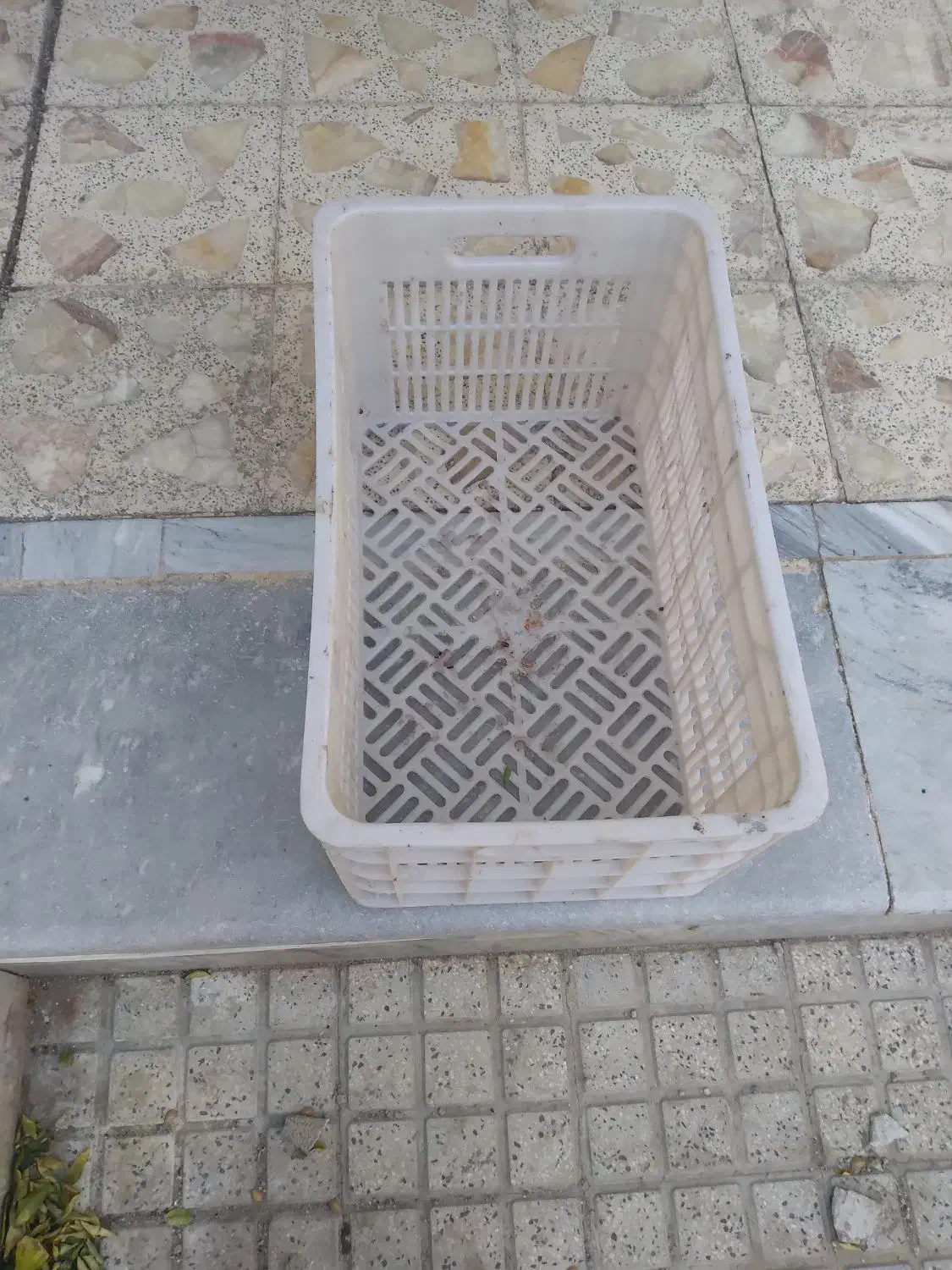 سبد میوه|ظروف نگهدارنده، پلاستیکی، یک‌بارمصرف|ساوه, |دیوار