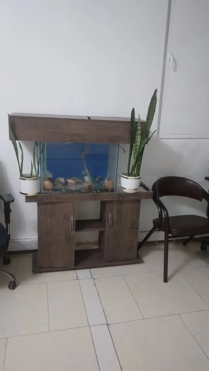 آکواریوم با پایه ام دی اف کاملا سالم|ماهی|ری, شهرری|دیوار