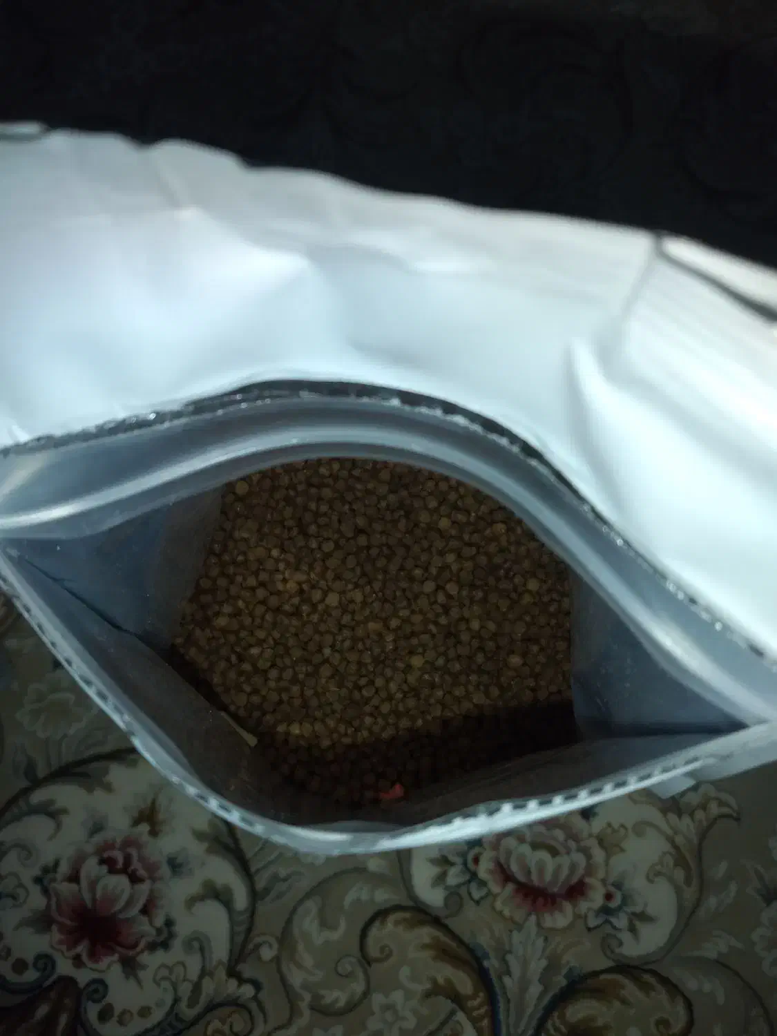 غذای ماهی گلفیش کوی|ماهی|مشهد, بهمن|دیوار