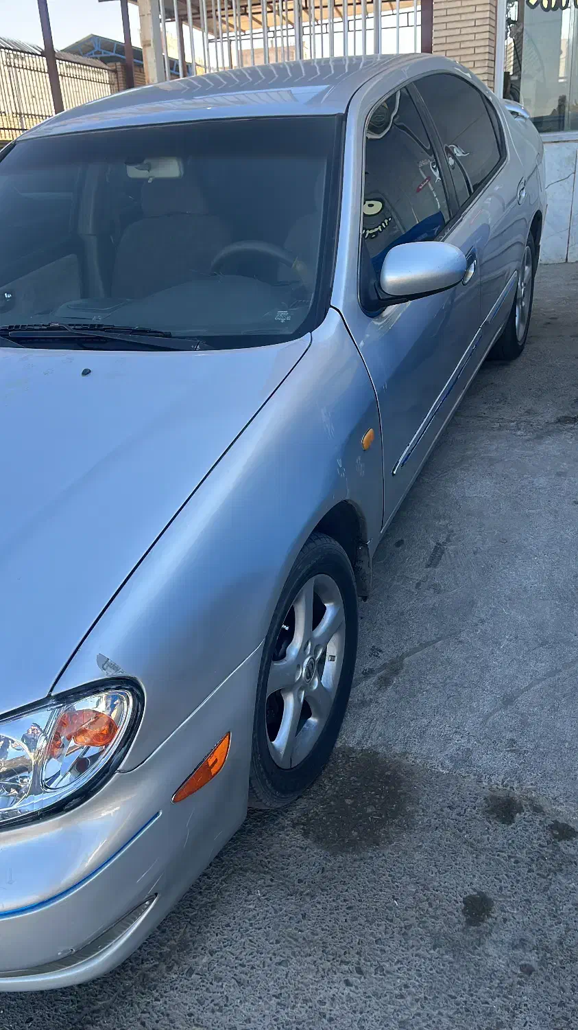 ماکسیما مدل ۸۳|خودرو سواری و وانت|یزد, |دیوار