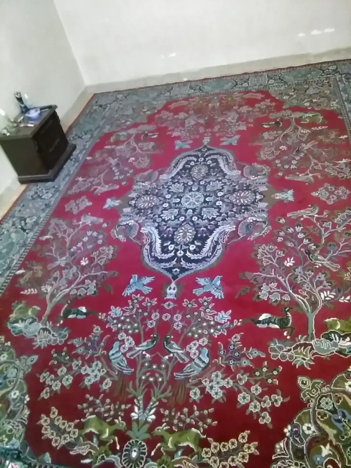 فرش 12متری|فرش|سمنان, |دیوار