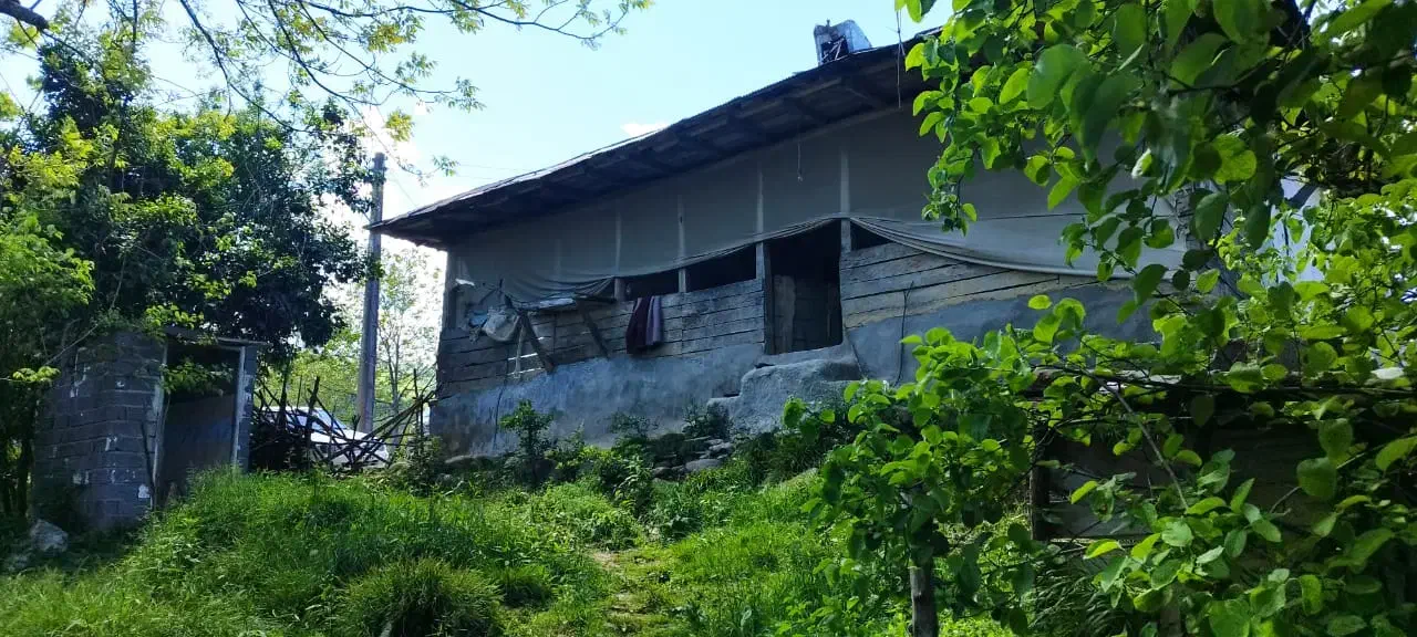 زمین بزرگ لاهیجان با خانه و باغ ویو ابدی|فروش زمین و ملک کلنگی|لاهیجان, کوه بیجار|دیوار