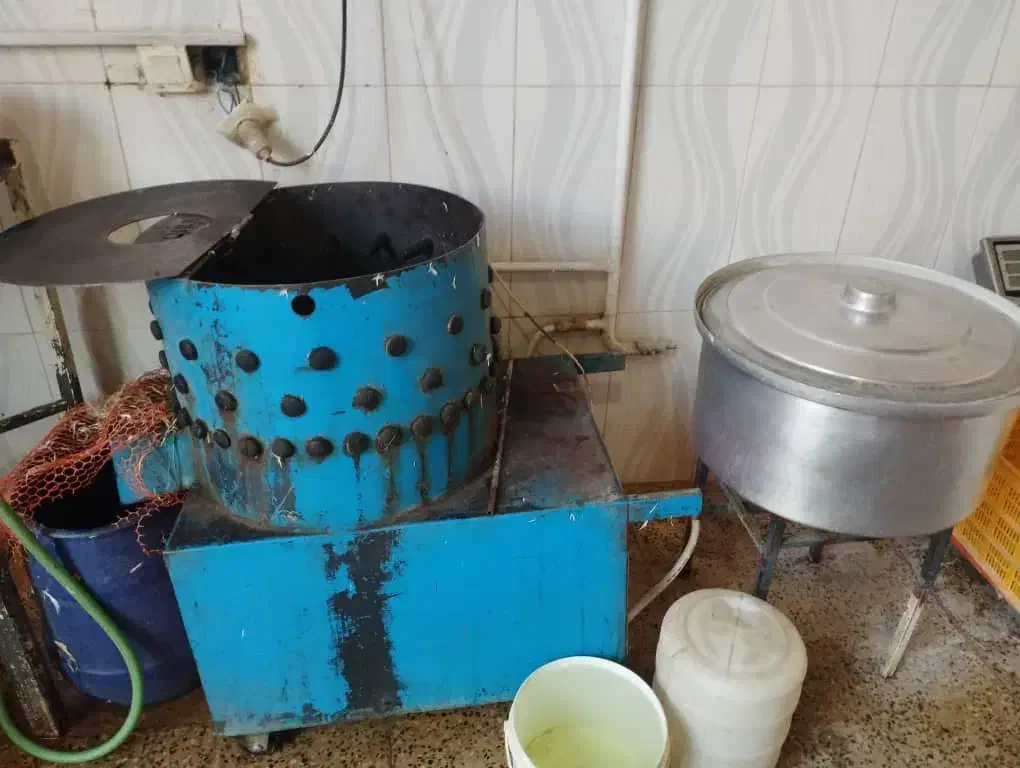 وسایل مرغ فروشی|فروشگاه و مغازه|ایلام, |دیوار