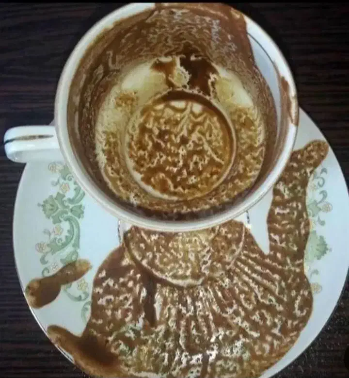 فال قهوه تاروت ورق شمع استخاره کف بینی آیینه بینی|خدمات پذیرایی، مراسم|بندر گناوه, |دیوار