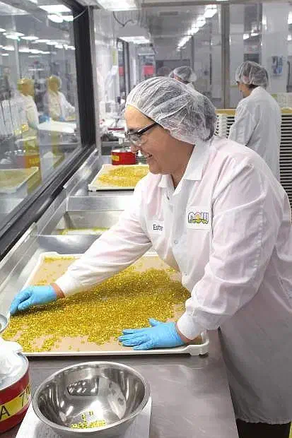 دستیار کارشناس  مسول دفتر  مدیر عامل|استخدام اداری و مدیریت|مشهد, ده دی|دیوار