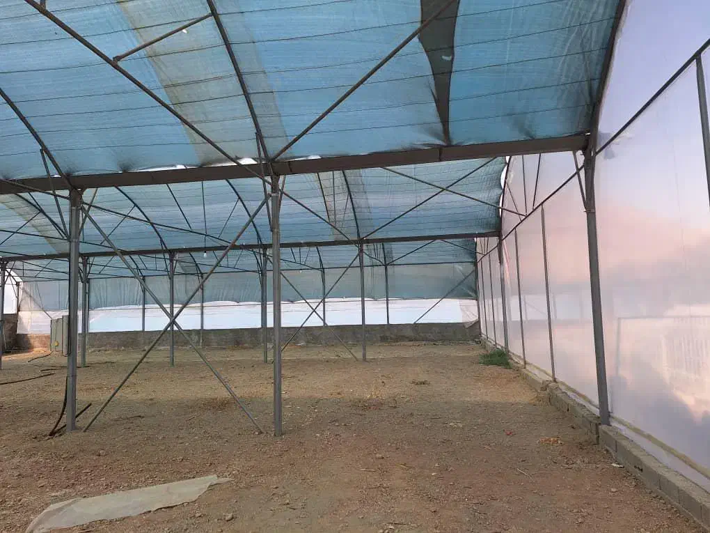 راهنمایی خرید و فروش|فعالیت داوطلبانه|پردیس, شهرک صنعتی خرمدشت فاز ۷|دیوار