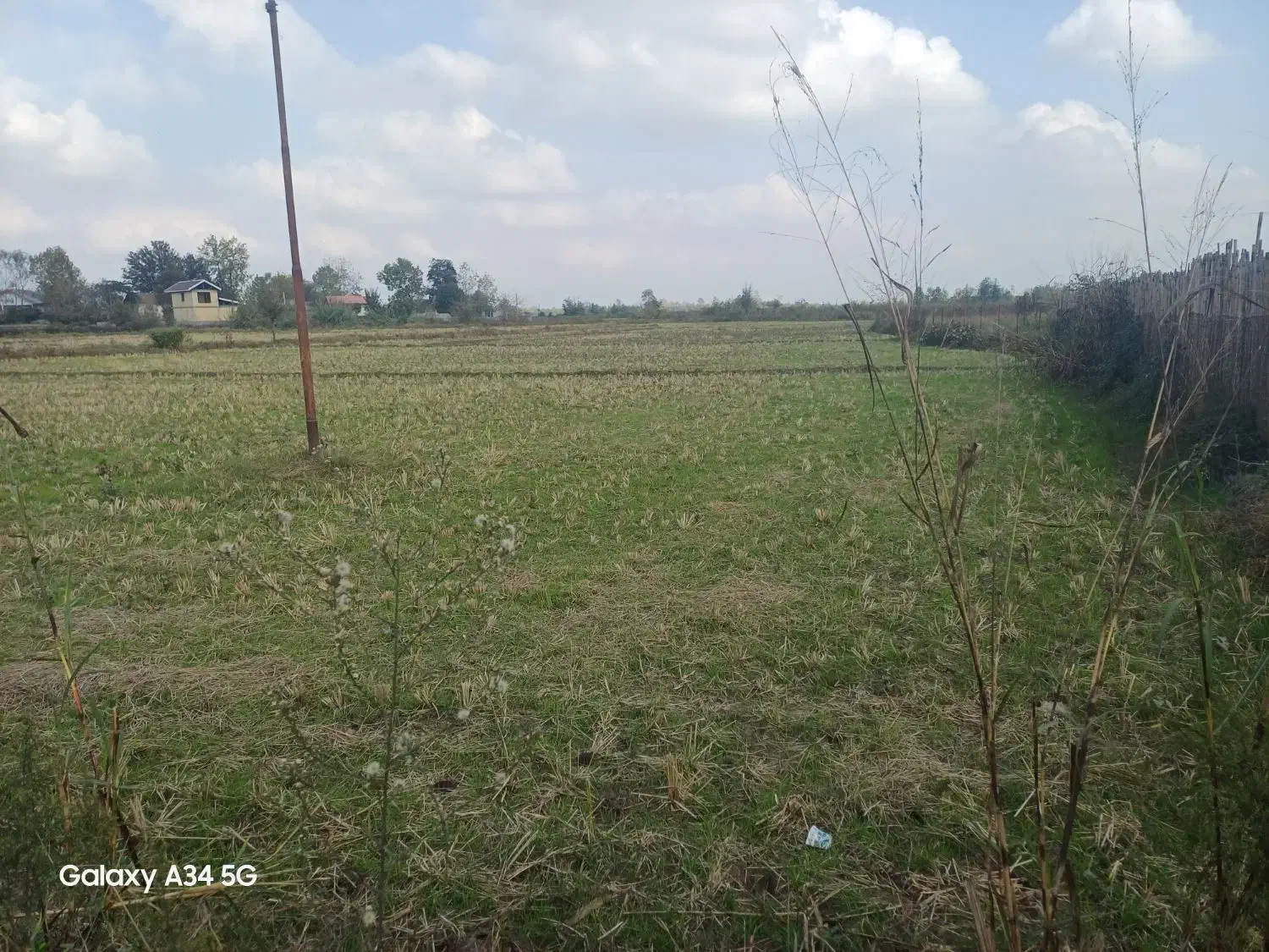 شالیزار سنتی چسبیده به خونه مسکونی|فروش زمین و ملک کلنگی|رشت, بازار|دیوار