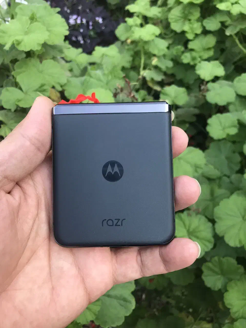 Motorola RAZR 40 Ultra|موبایل|بابل, |دیوار