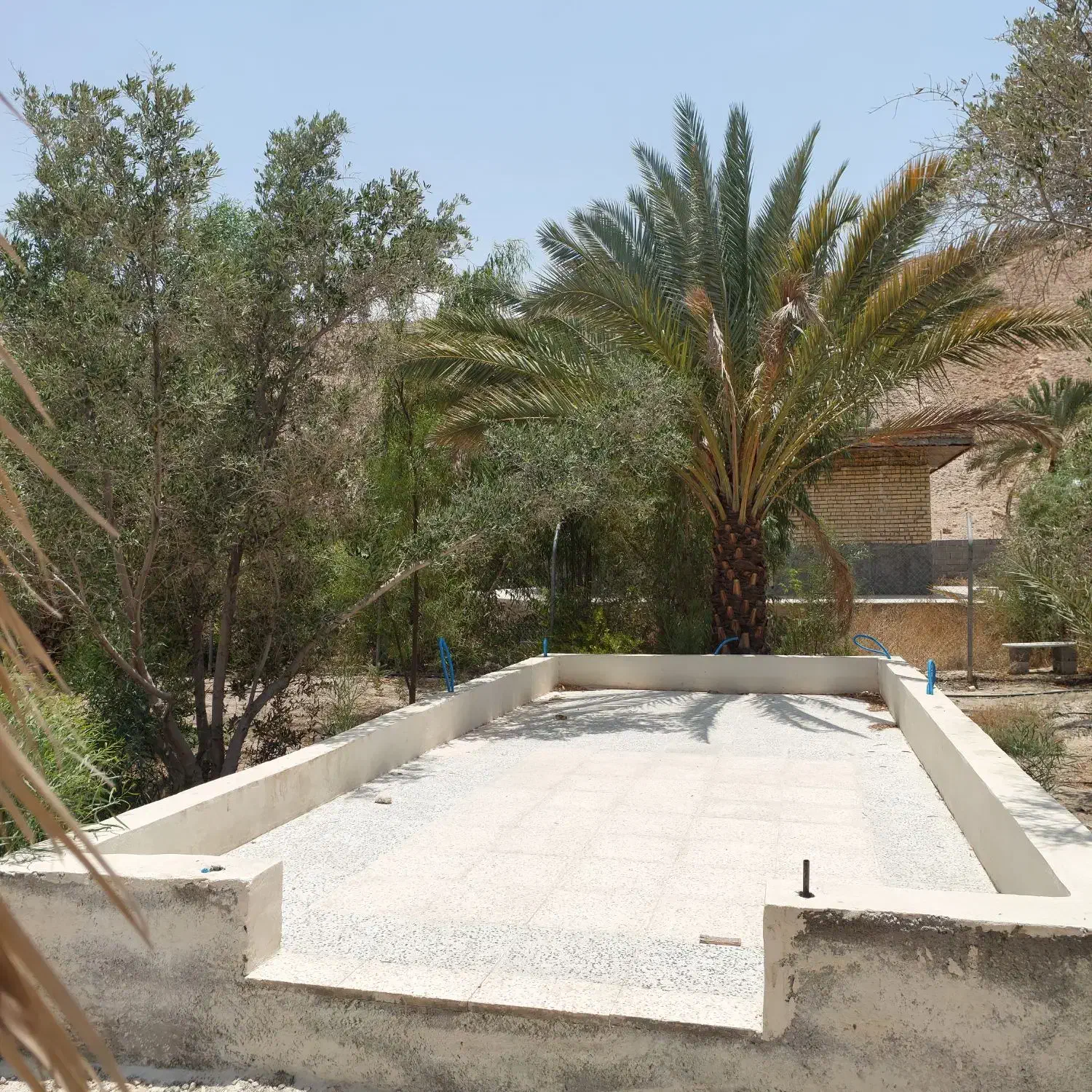 فروش باغ ۱۰۰۰ متری مجتمع زیتون|فروش خانه و ویلا|لار, |دیوار