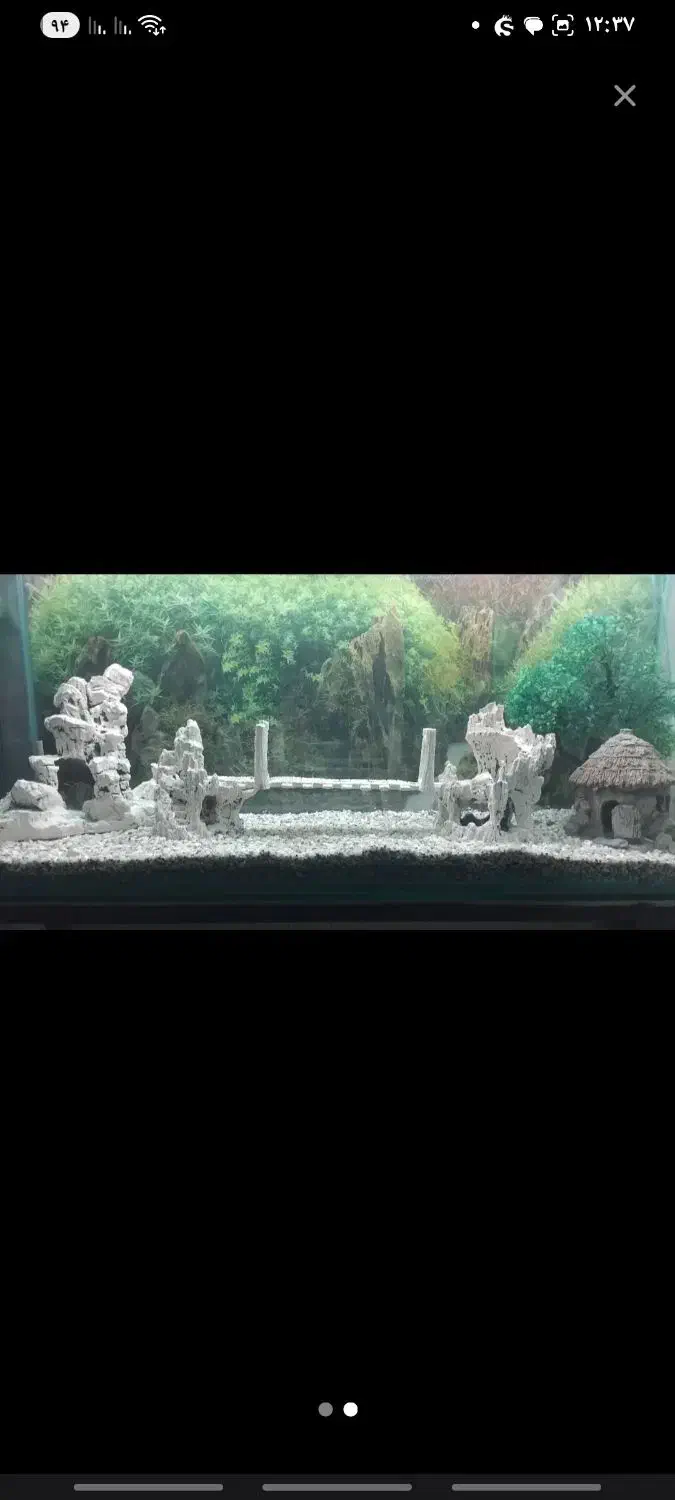 آکواریوم با همه وسایل فقط|لوازم جانبی حیوانات|آذرشهر, |دیوار