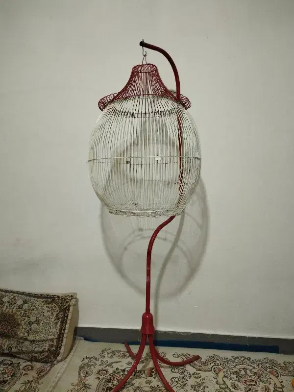 قفس پرنده|لوازم جانبی حیوانات|مشهد, حضرت حجت|دیوار