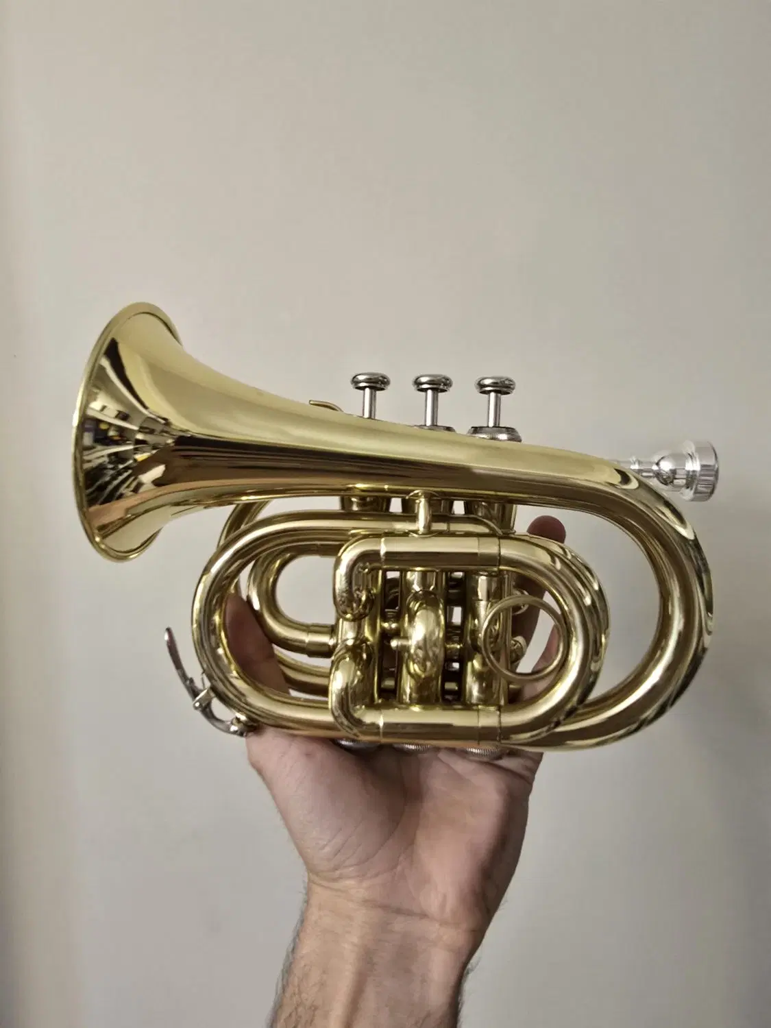 ترومپت مینی Pocket Trumpet|سازهای بادی|تهران, تهراننو|دیوار