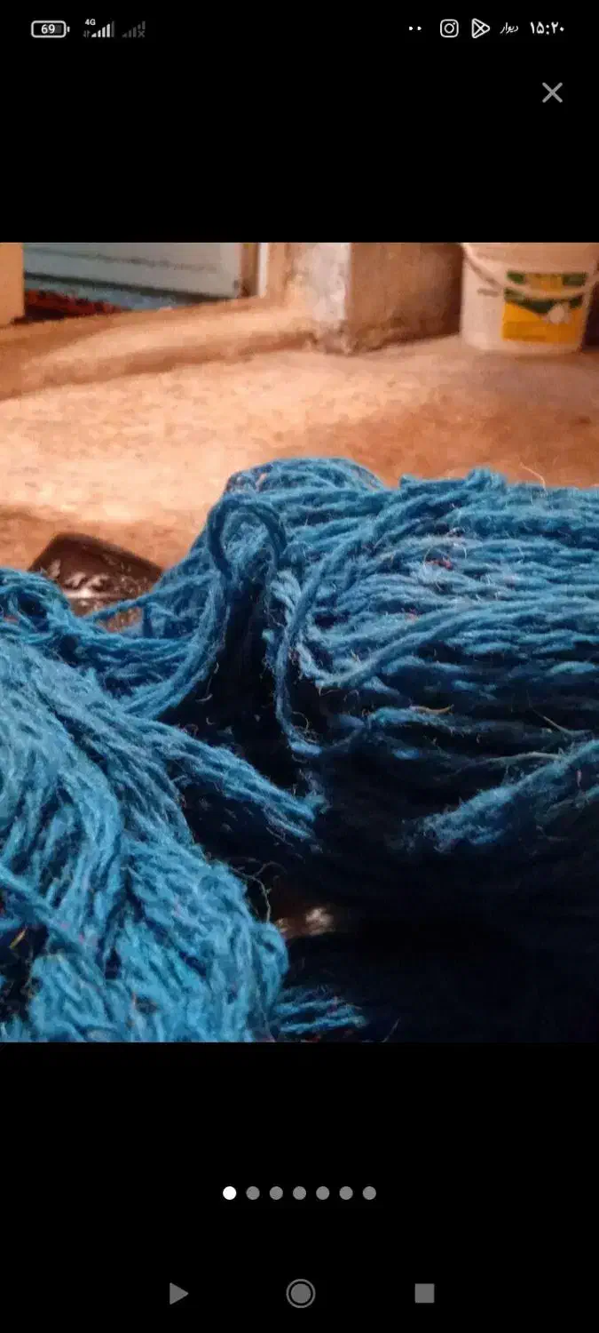 گل طبیعی دیفن باخیا و نخ قالی دستباف|گل و گیاه طبیعی|خرمآباد, |دیوار