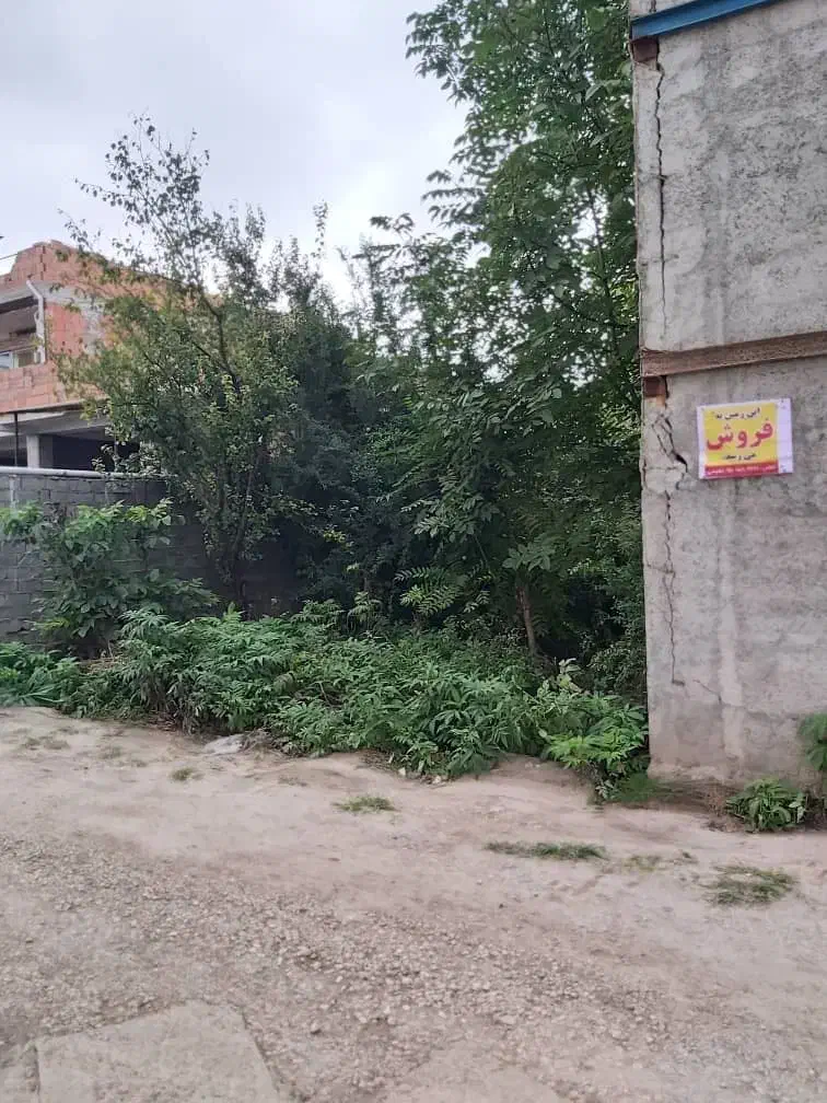 فروش زمین به مساحت ۱۷۲ متر فوری فوری به علت مهاجرت|فروش زمین و ملک کلنگی|ساری, |دیوار