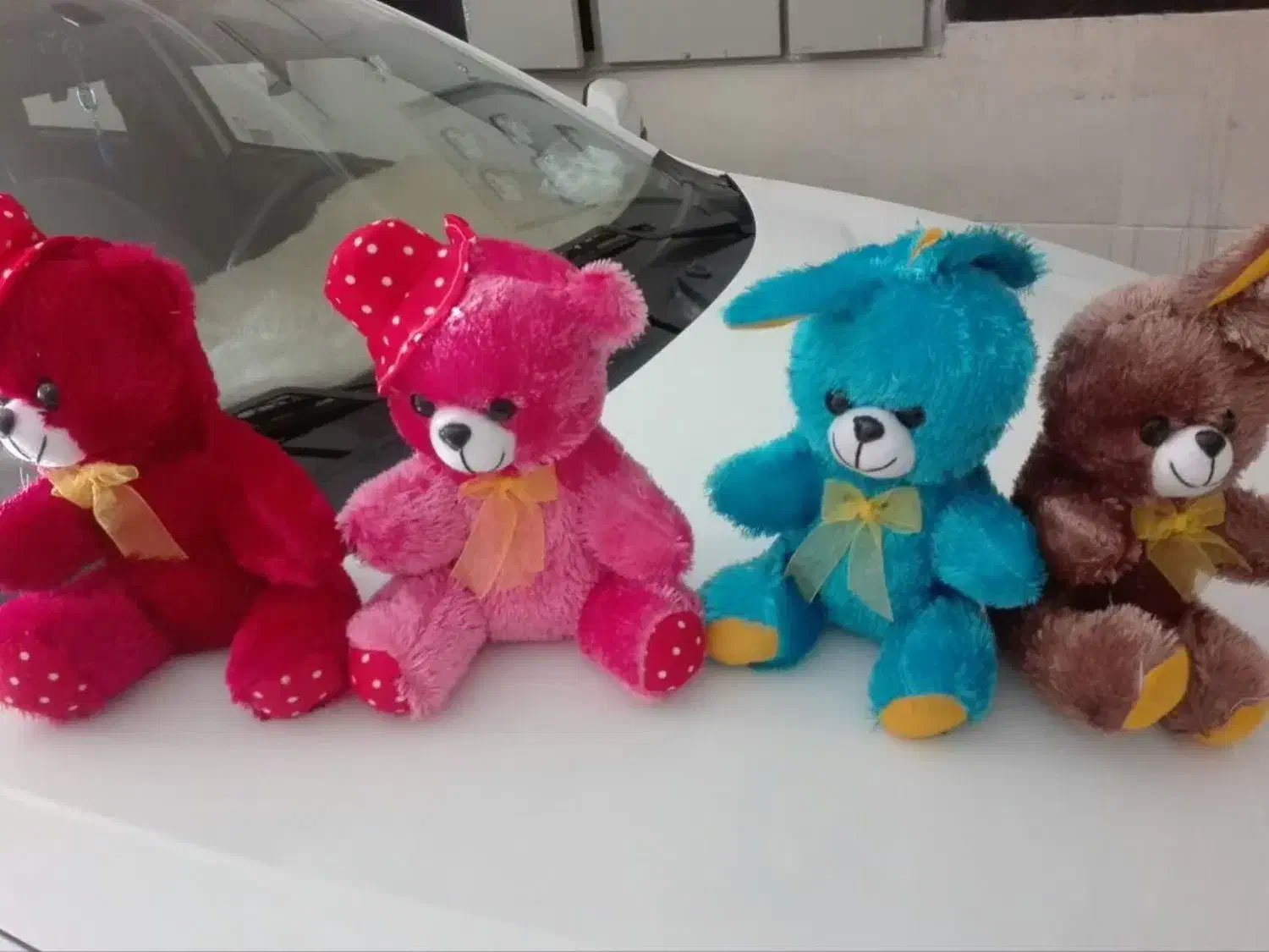 تدی خوشگله|اسباببازی|آزادشهر, |دیوار