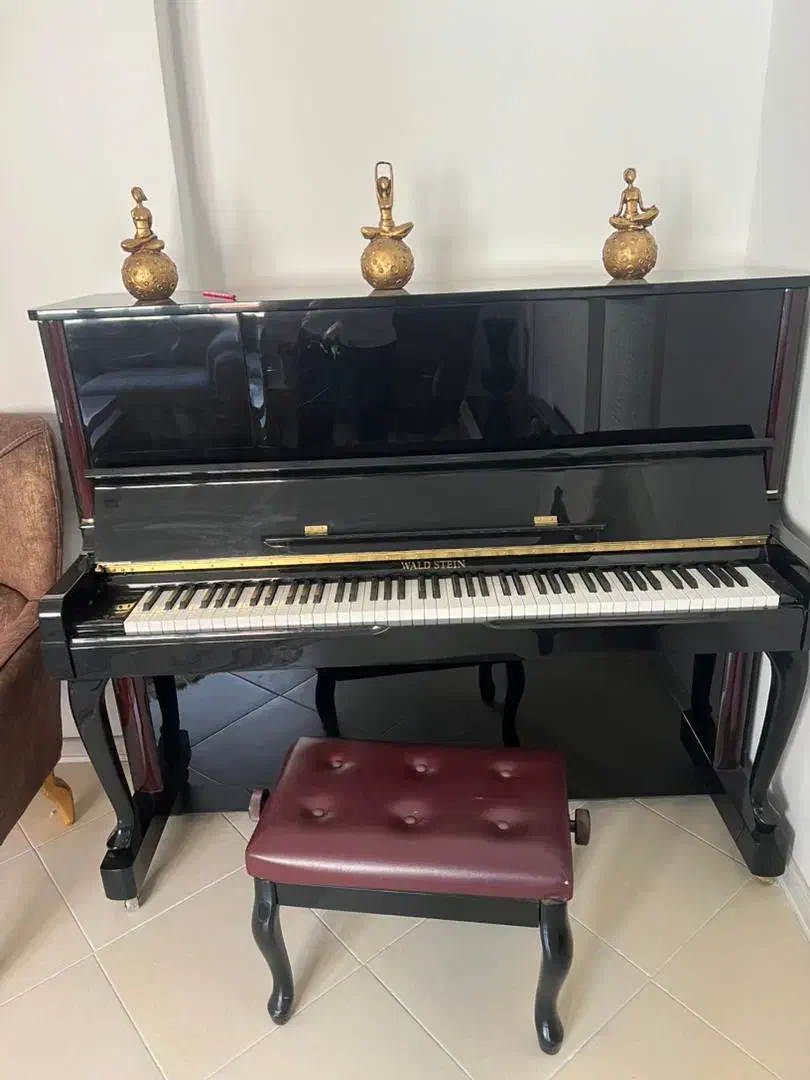 پیانو آکوستیک والد اشتاین|پیانو، کیبورد، آکاردئون|مشهد, جانباز|دیوار