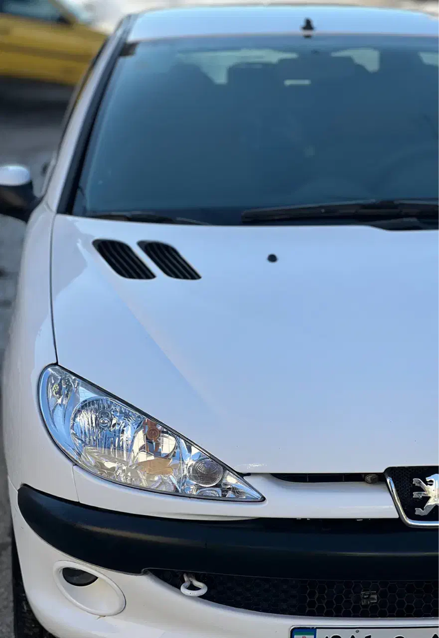 ۲۰۶ اس دی|خودرو سواری و وانت|کرمانشاه, |دیوار